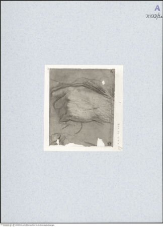 Vorderseite von bh492634_recto