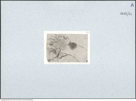 Vorderseite von bh492635_recto