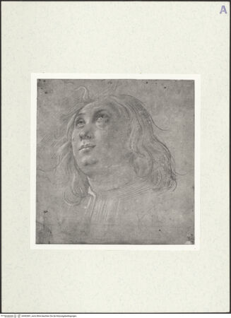 Vorderseite von bh492681_recto