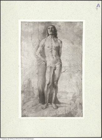 Vorderseite von bh492684_recto