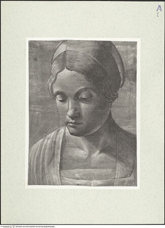 Vorderseite von bh492685_recto