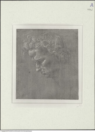 Vorderseite von bh492699_recto