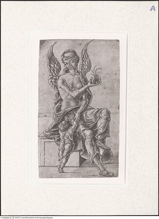 Vorderseite von bh492717_recto