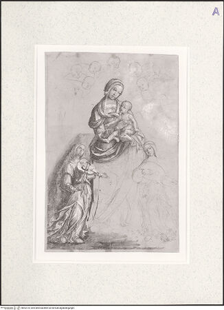 Vorderseite von bh492724_recto