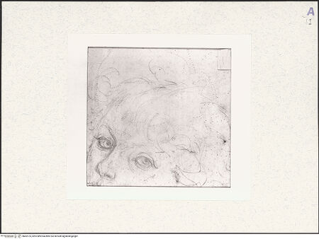 Vorderseite von bh492725_recto