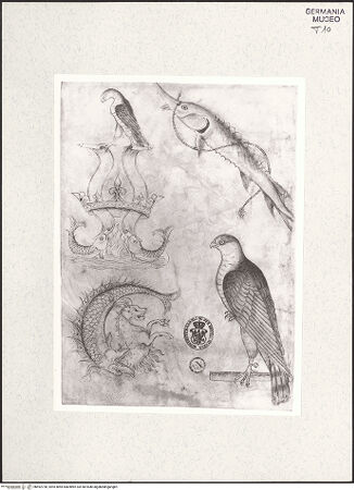 Vorderseite von Museum [https://www.deutsche-digitale-bibliothek.de/content/lizenzen/rv-ez/] Emblematische Tiere: Greifvögel, Fische und ein chinesisches Fabelwesen (Khilin) - , bh492728_recto. Foto: Anders, Jörg P..