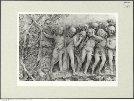 Vorderseite von bh492736_recto