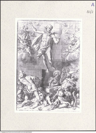 Vorderseite von bh492768_recto