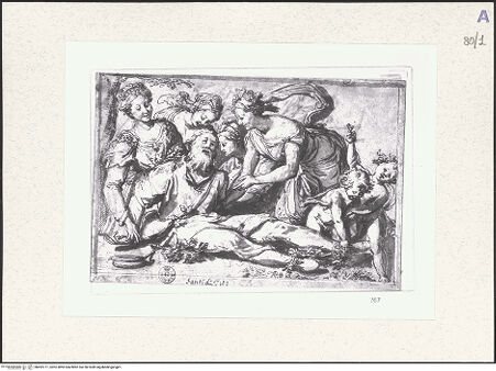 Vorderseite von bh492771_recto