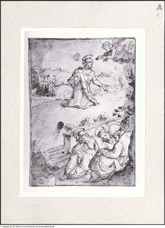 Vorderseite von bh492772_recto