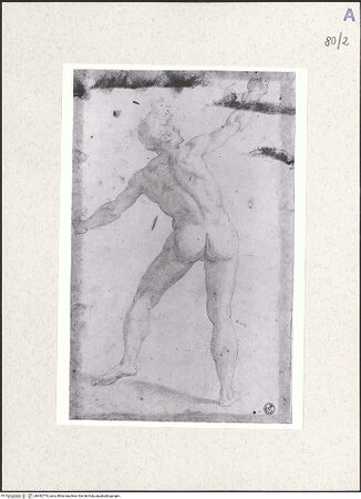 Vorderseite von bh492774_recto