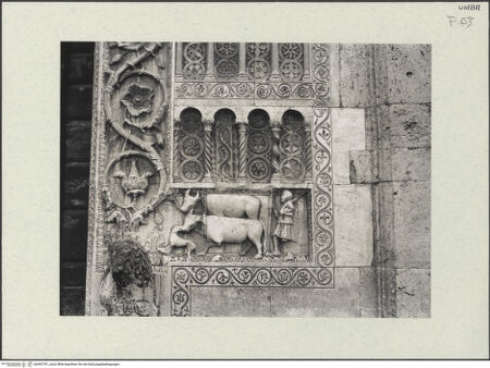 Vorderseite von bh492791_recto