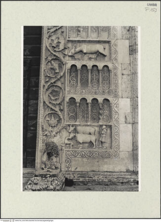 Vorderseite von bh492792_recto