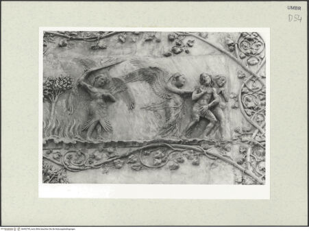 Vorderseite von bh492795_recto