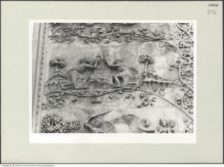 Vorderseite von bh492796_recto