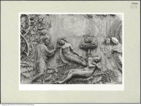 Vorderseite von bh492800_recto