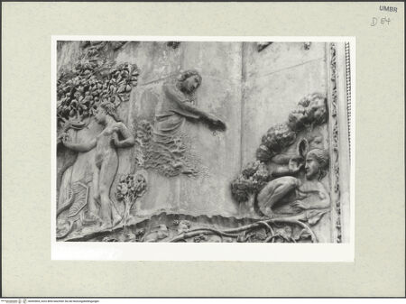 Vorderseite von bh492804_recto