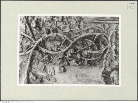 Vorderseite von bh492806_recto