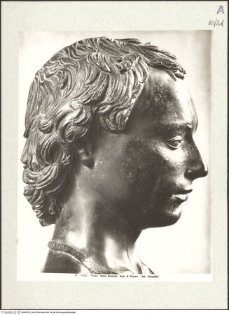 Vorderseite von bh492890_recto