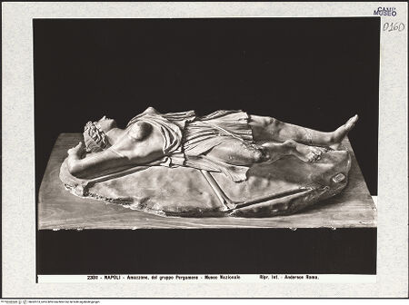 Vorderseite von Alinari [https://www.deutsche-digitale-bibliothek.de/content/lizenzen/rv-ez/] Gefallene Amazone - Gesamtansicht, bh492973_recto. Foto.