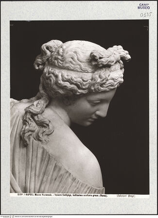 Vorderseite von Alinari [https://www.deutsche-digitale-bibliothek.de/content/lizenzen/rv-ez/] Aphrodite Kallipygos, Kopie nach einem griechischen Original aus dem 4./2. Jahrhundert v. Chr. - Detail: Kopf und Schulter, bh492974_recto. Foto.