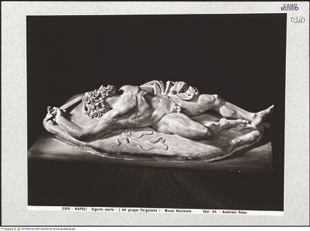 Vorderseite von Alinari [https://www.deutsche-digitale-bibliothek.de/content/lizenzen/rv-ez/] Toter Gigant - Gesamtansicht, bh492980_recto. Foto.