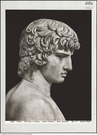 Vorderseite von Alinari [https://www.deutsche-digitale-bibliothek.de/content/lizenzen/rv-ez/] Antinoos - Detail: Kopf von links, bh492981_recto. Foto.