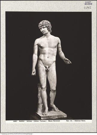 Vorderseite von Alinari [https://www.deutsche-digitale-bibliothek.de/content/lizenzen/rv-ez/] Antinoos - Frontalansicht, bh492984_recto. Foto.