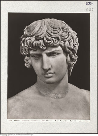 Vorderseite von Alinari [https://www.deutsche-digitale-bibliothek.de/content/lizenzen/rv-ez/] Antinoos - Detail: Kopf von vorne, bh492994_recto. Foto.