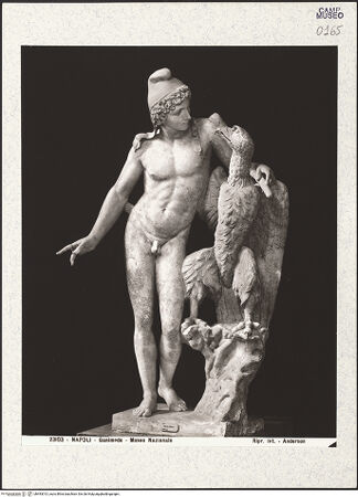 Vorderseite von Alinari [https://www.deutsche-digitale-bibliothek.de/content/lizenzen/rv-ez/] Ganymed mit dem Adler des Jupiter, Kopie nach einer Gruppe aus der zweiten Hälfte des 4. Jahrhunderts v. Chr. - Gesamtansicht, bh493013_recto. Foto.