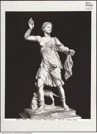Vorderseite von Alinari [https://www.deutsche-digitale-bibliothek.de/content/lizenzen/rv-ez/] Artemis Farnese, Kopie einer griechischen Statue des 4. Jahrhunderts v. Chr. - Gesamtansicht, bh493014_recto. Foto.