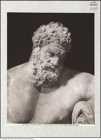 Vorderseite von Alinari [https://www.deutsche-digitale-bibliothek.de/content/lizenzen/rv-ez/] Herkules Farnese, Kopie nach einem Original (des Lysipp) der zweiten Hälfte des 4. Jahrhunderts v. Chr. - Detail: Kopf, bh493026-6_recto. Foto.