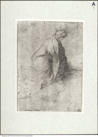 Vorderseite von bh493056_recto