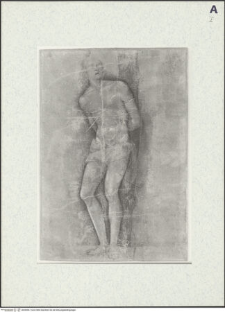 Vorderseite von bh493067_recto