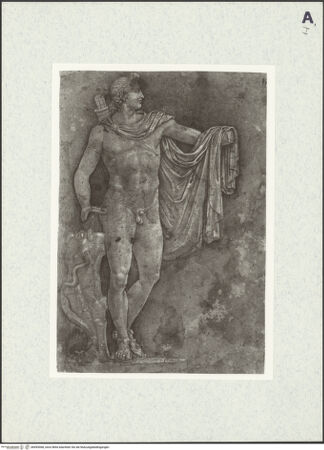 Vorderseite von bh493068_recto