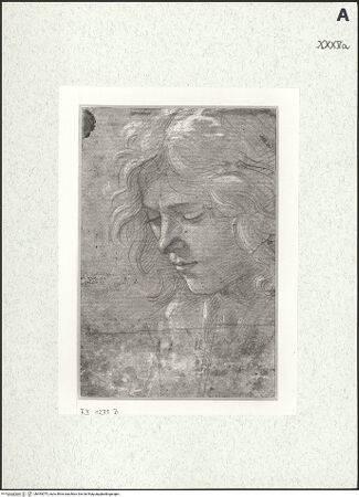 Vorderseite von bh493075_recto