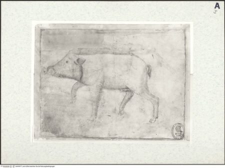 Vorderseite von bh493077_recto