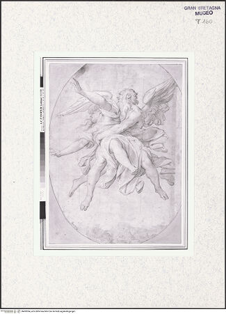 Vorderseite von bh493094_recto