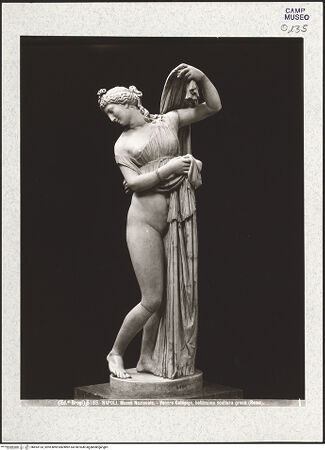 Vorderseite von Alinari [https://www.deutsche-digitale-bibliothek.de/content/lizenzen/rv-ez/] Aphrodite Kallipygos, Kopie nach einem griechischen Original aus dem 4./2. Jahrhundert v. Chr. - Ansicht von links vorne, bh493133_recto. Foto.