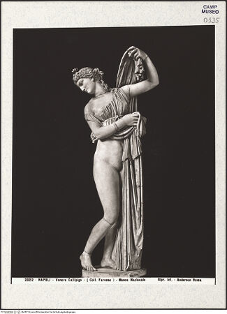 Vorderseite von Alinari [https://www.deutsche-digitale-bibliothek.de/content/lizenzen/rv-ez/] Aphrodite Kallipygos, Kopie nach einem griechischen Original aus dem 4./2. Jahrhundert v. Chr. - Ansicht von links vorne, bh493134_recto. Foto.