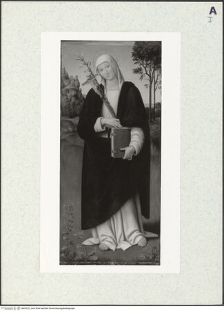 Vorderseite von bh493225_recto