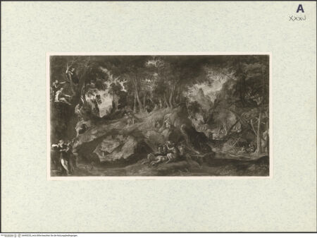 Vorderseite von bh493233_recto