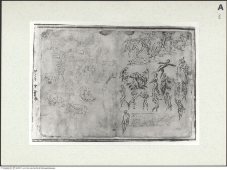 Vorderseite von bh493274_recto