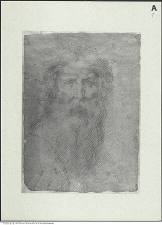 Vorderseite von bh493543_recto