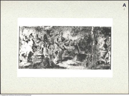 Vorderseite von bh493554_recto