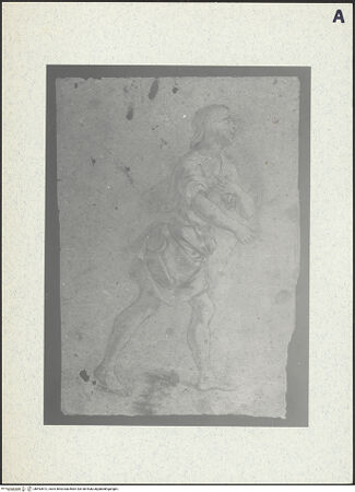 Vorderseite von bh493572_recto