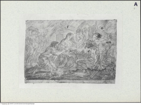 Vorderseite von bh493577_recto