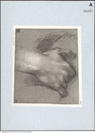 Vorderseite von bh493586_recto