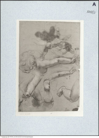 Vorderseite von bh493587_recto