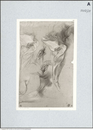 Vorderseite von bh493588_recto